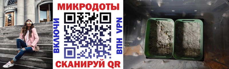Купить закладки  Каменногорск  Галлюциногенные грибы мухоморы 